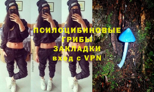 ГАЛЛЮЦИНОГЕННЫЕ ГРИБЫ Нягань