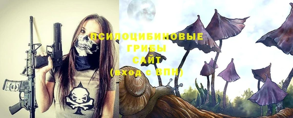 ALPHA PVP Остров