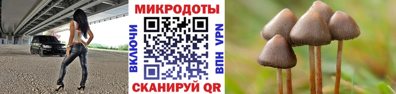 купить наркотик  Сальск  Псилоцибиновые грибы прущие грибы 